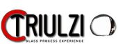 Triulzi Logo 9