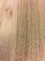 unsanded unsanded